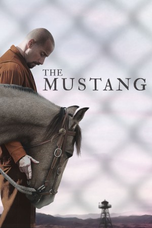 Mustang: Thuần hóa 2019