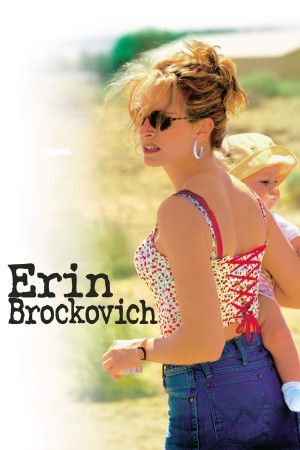 Nàng Erin Brockovich 2000