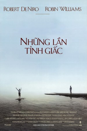 Những Lần Tỉnh Giấc 1990