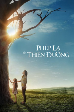 Phép Lạ Từ Thiên Đường 2016