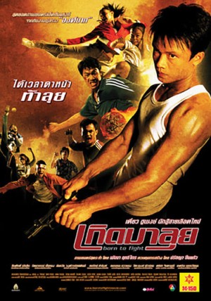 Sinh Ra Để Chiến Đấu 2004